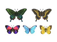 ACNH Butterfly Theme Room Ideas