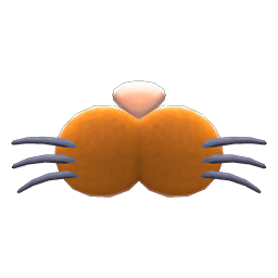 Cat Nose
