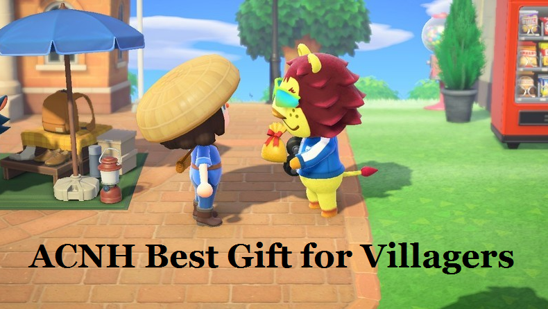 Animal Crossing New Horizons Best Gift For Villagers ACNH Villager 