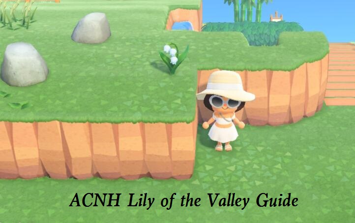 ACNH Lily Of The Valley Guide Price Colors Spawn Rate Location 