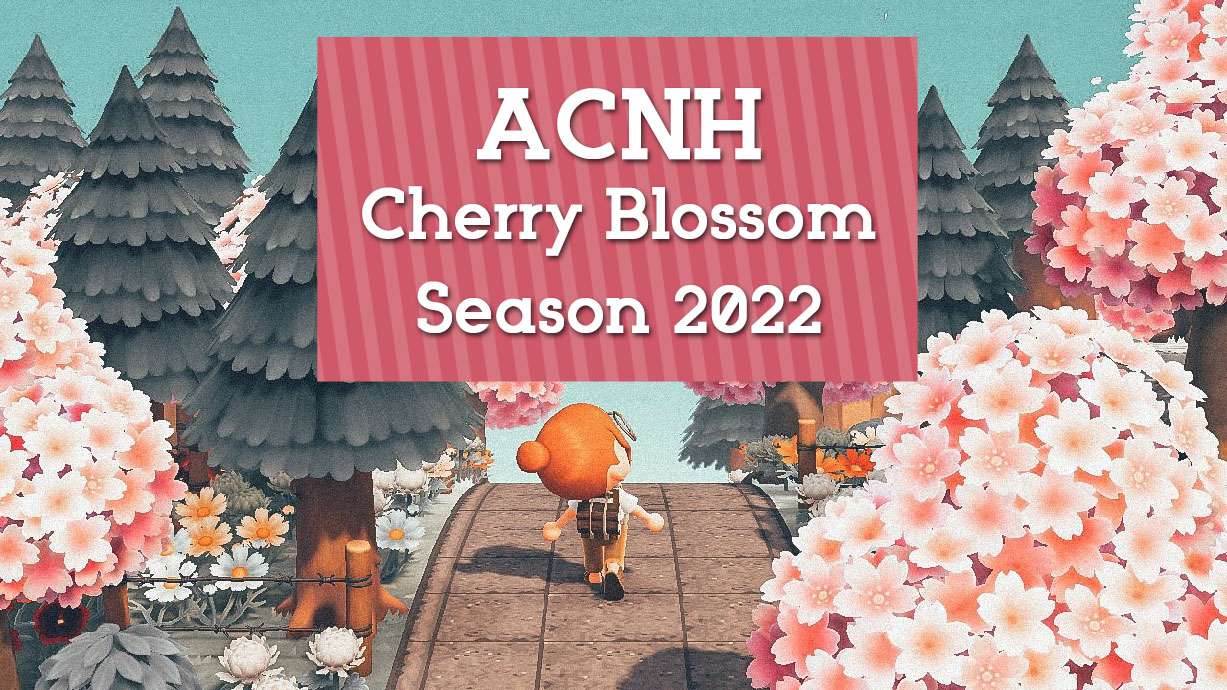 ACNH Cherry Blossom Season 2022 Date, Cherry Blossom Petal Items, DIY