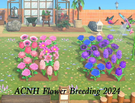 ACNH Flower Breeding Guide 2024