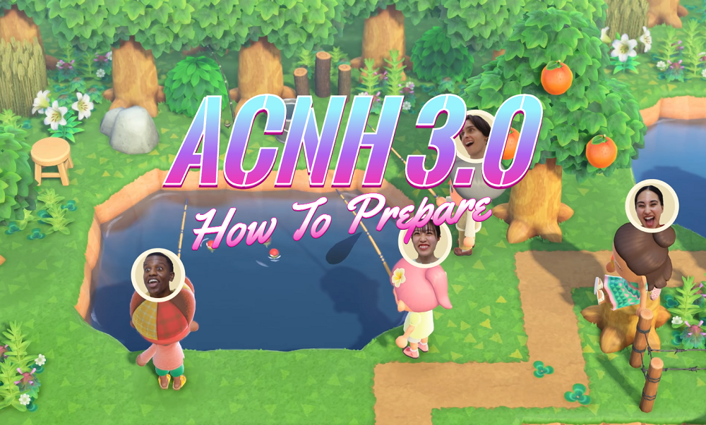 ACNH 3.0 Preparation Guide - What To Do